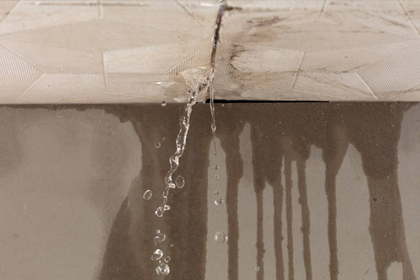 Professional Sewage Cleanup technician working in Moreland, ID